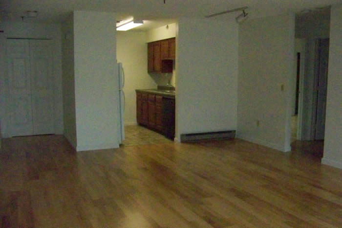 Hill Gardens apartment, Burlington, Vermont living room.